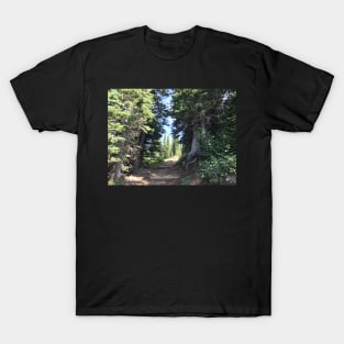 Trail up the Mountain T-Shirt